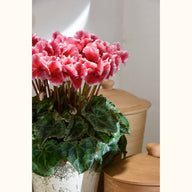 CYCL_45420_img_lstyle_02.JPG