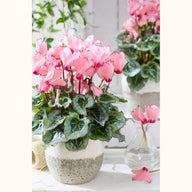 CYCL_4791_img_lstyle_02.jpg