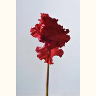 CYCL_48900_img_flow_09.jpg
