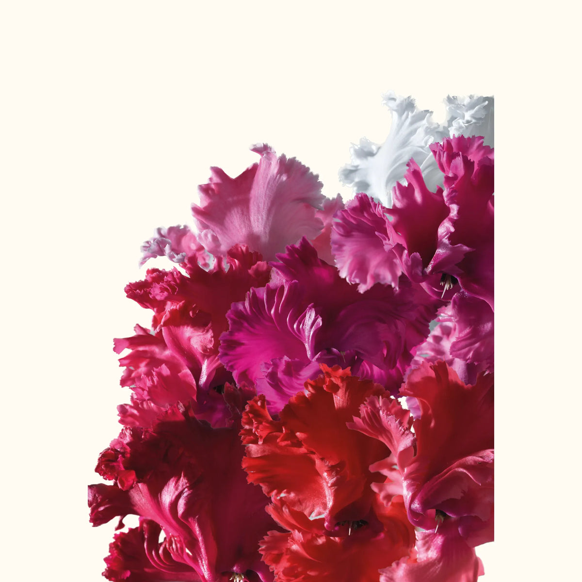 CYCL_48900_img_flow_01.png