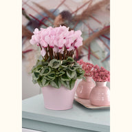 CYCL_52260_img_lstyle_09.jpg