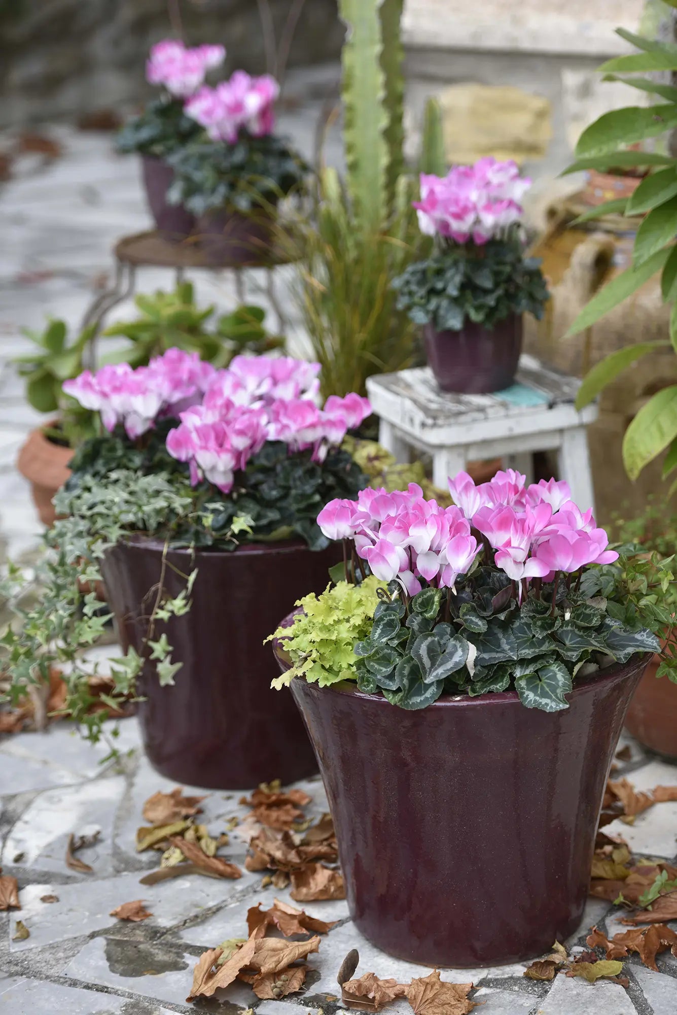 MIDI+® INDIAKA® Light rose