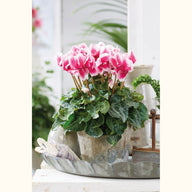 CYCL_55506_img_lstyle_02.jpg