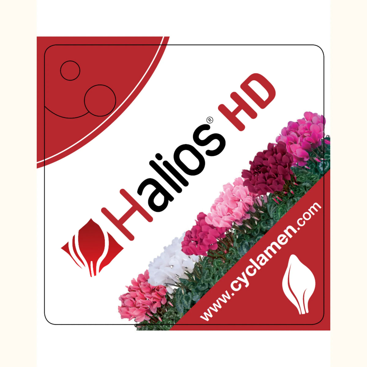 CYCL_HALIOSHD_pos_tags_02.png