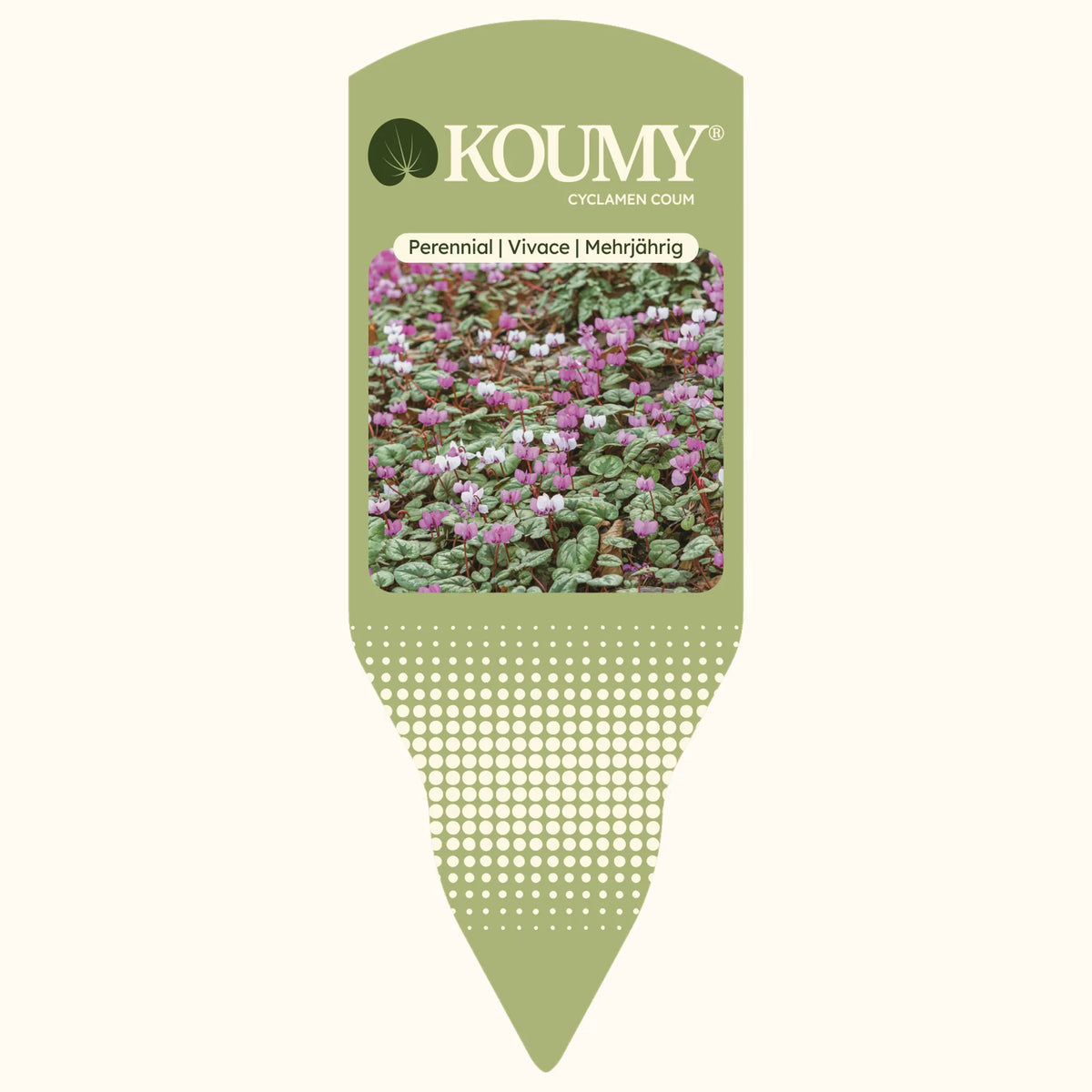 CYCL_KOUMY_pos_tags_01.png
