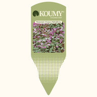 CYCL_KOUMY_pos_tags_01.png