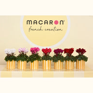CYCL_MACARON_img_lstyle_03.jpg