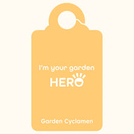 CYCL_OUTSTANDING_pos_tags_02.png