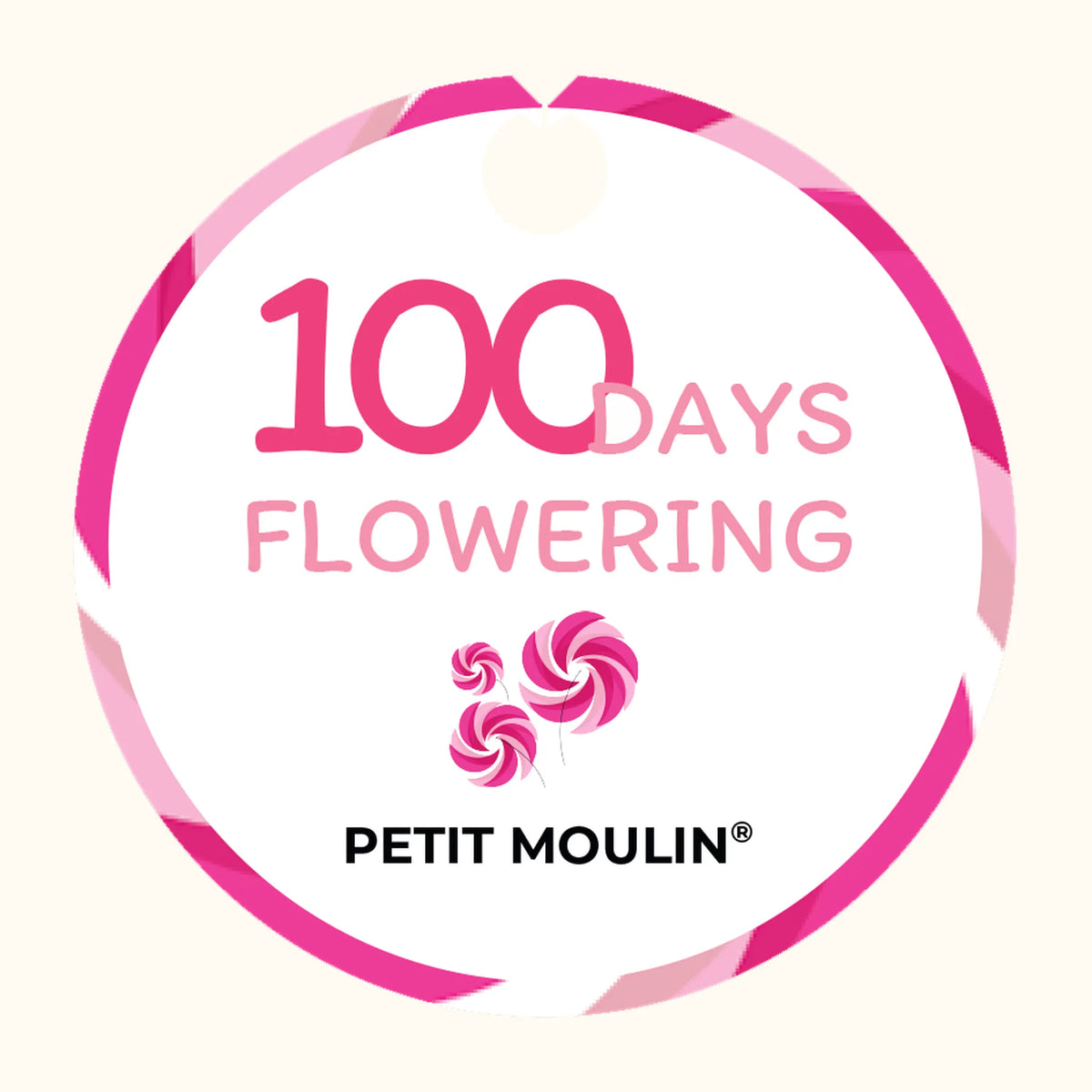 CYCL_PETITMOULIN_pos_tags_02.png