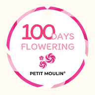 CYCL_PETITMOULIN_pos_tags_02.png