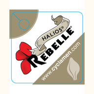 CYCL_REBELLE_pos_tags_02.png