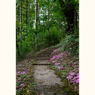 CYCL_botanical_landscape_01_@andreas-brun.jpg