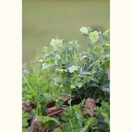 HELLE_100910_flow_lstyle_01@aurelle.lphotographe--0264.jpg