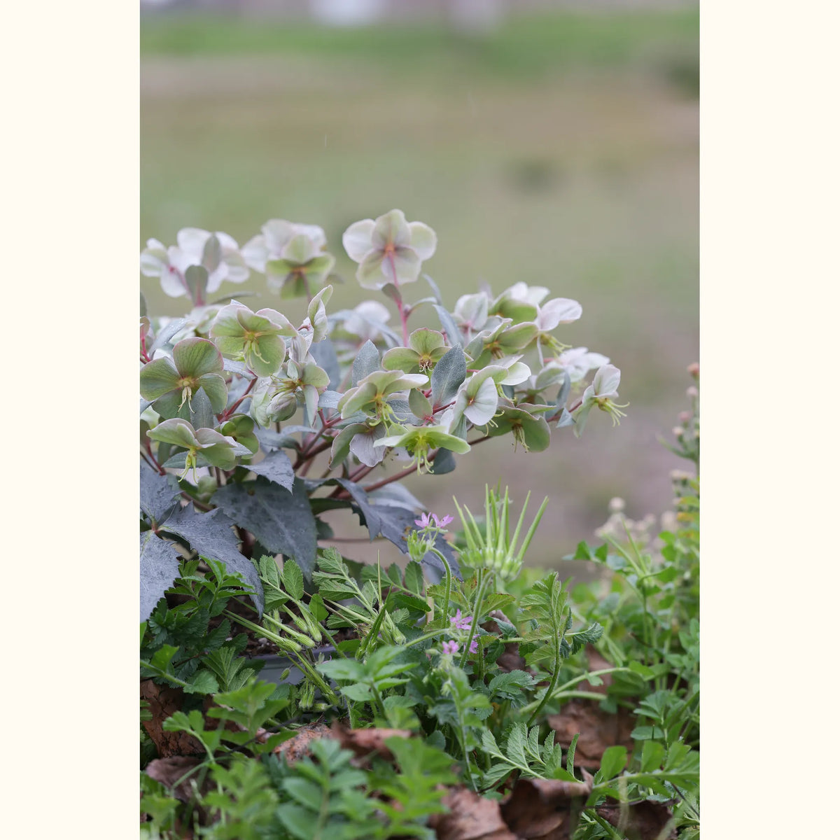 HELLE_100960_img_lstyle_01@aurelle.lphotographe_.jpg