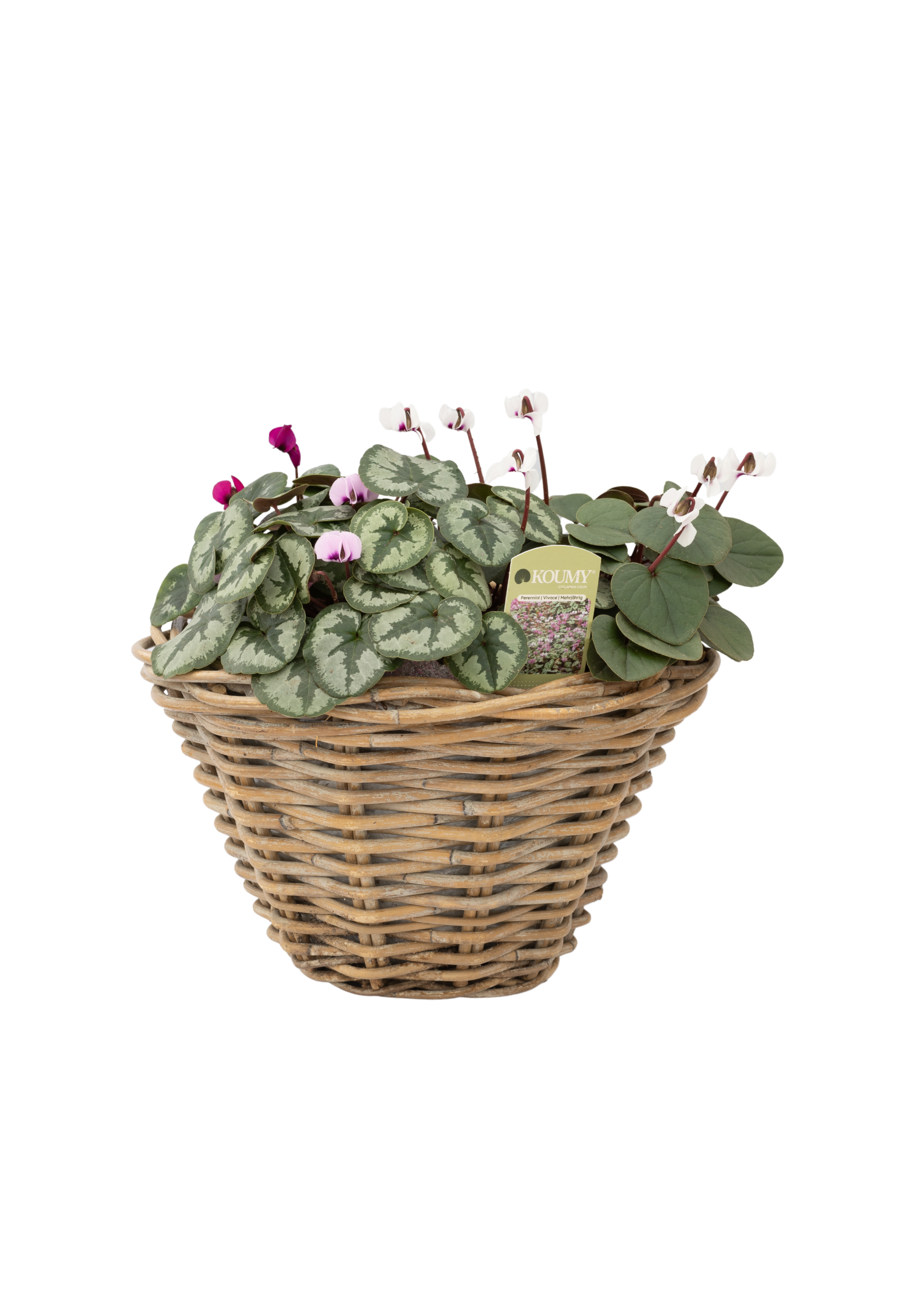Etichetta KOUMY® 