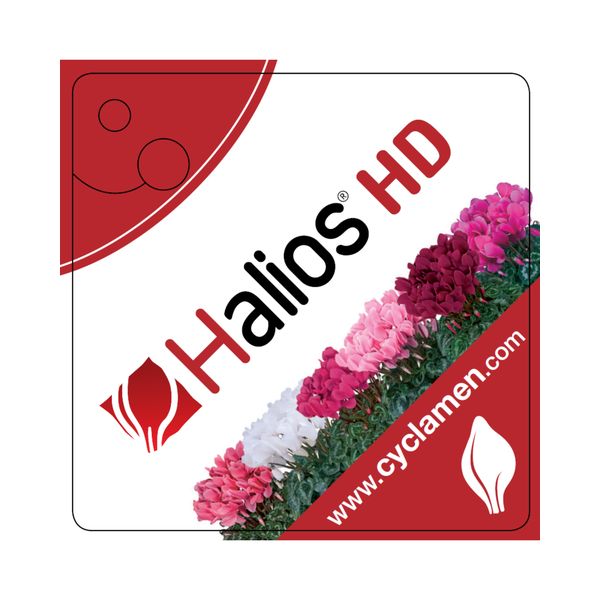 HALIOS® HD mix
