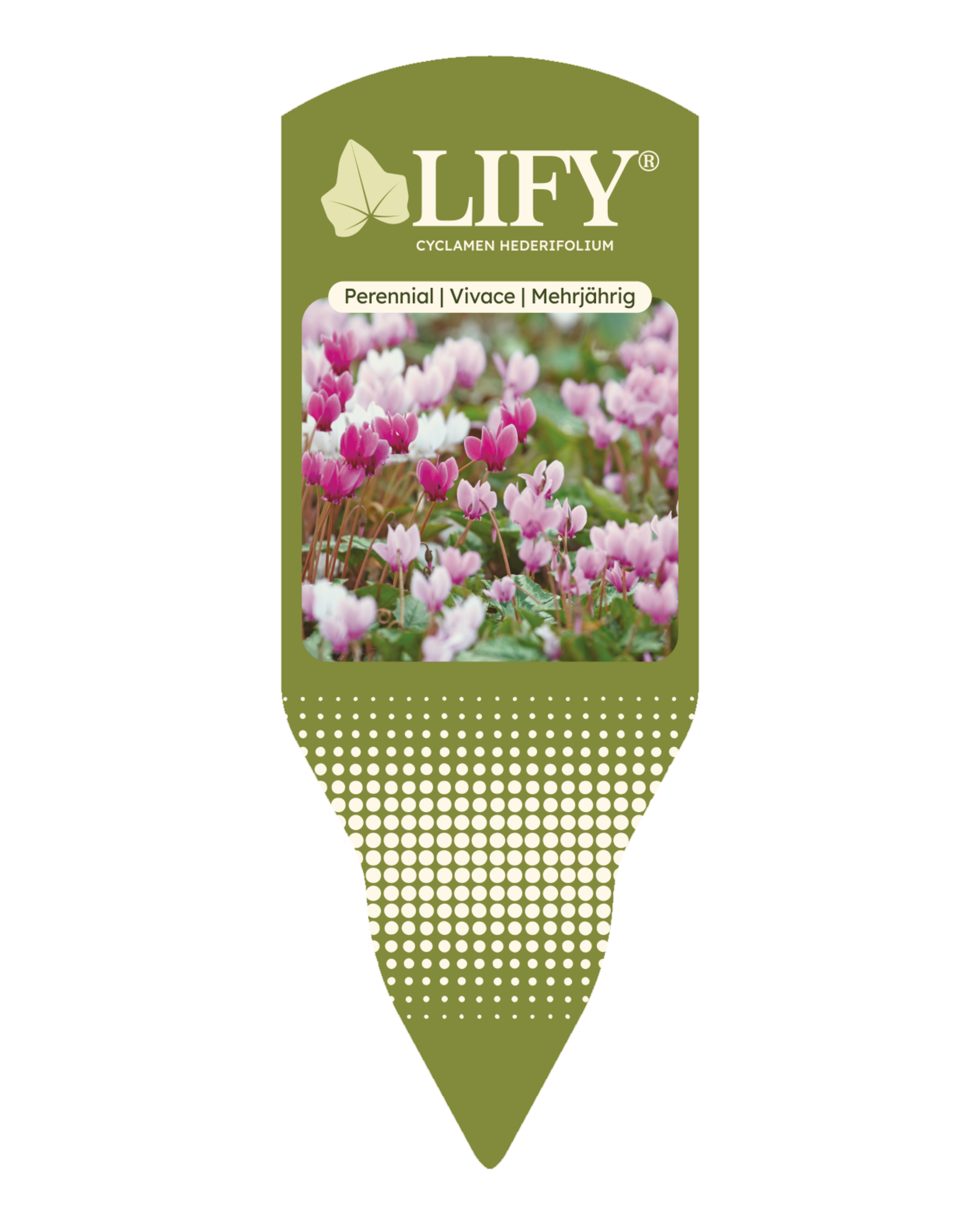 LIFY® Label